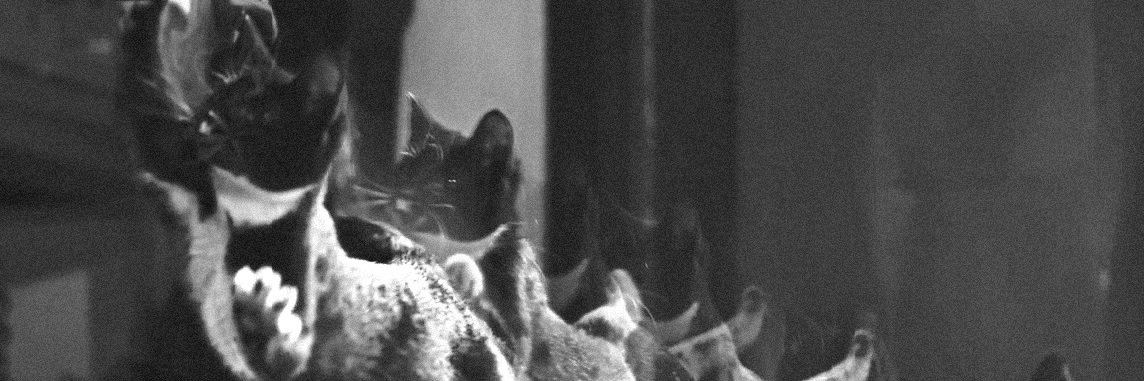 TheVmw41's profile banner image
