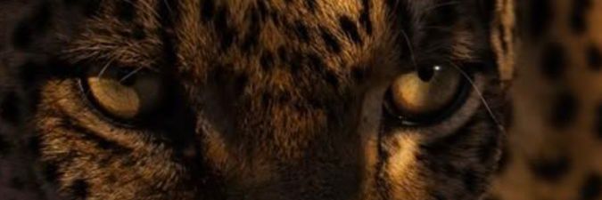 cigarrett_her's profile banner image