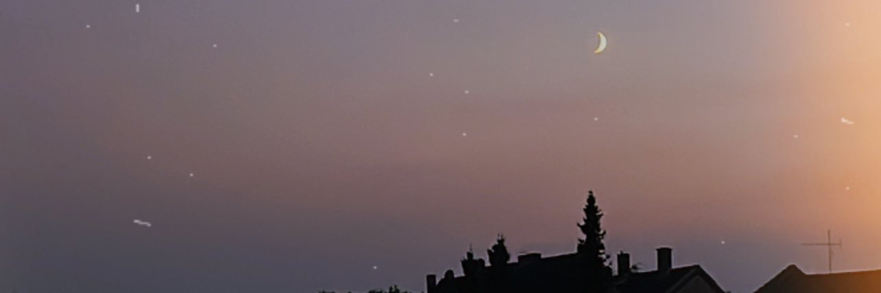 sandgoldfuchs's profile banner image