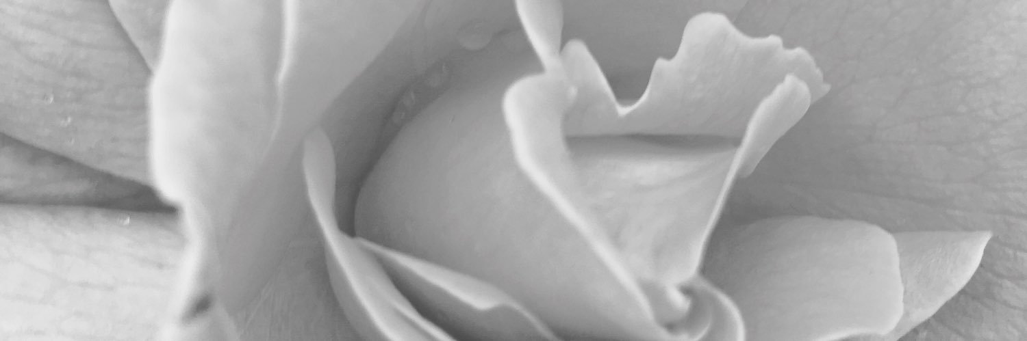 Tiffany Giovia banner