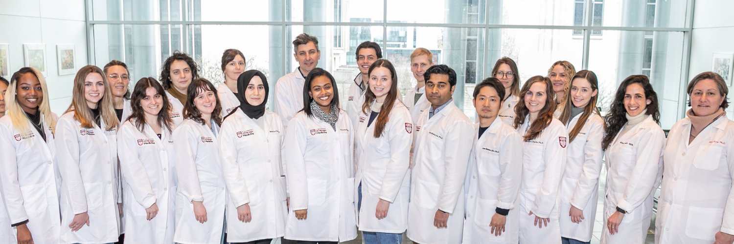 Lengyel Lab's banner