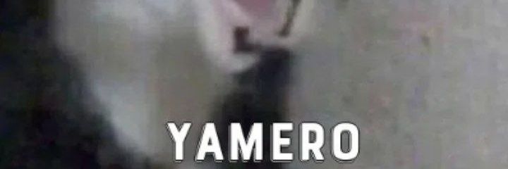 Bang Api banner