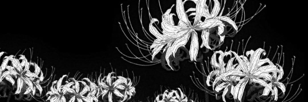 batikoriyb's profile banner image