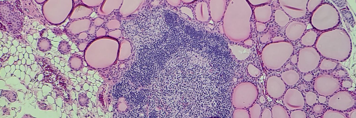 David Langlais banner