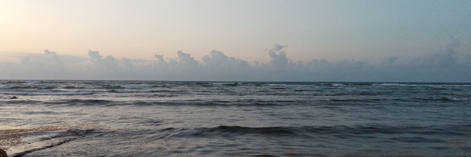 zackstl's profile banner image