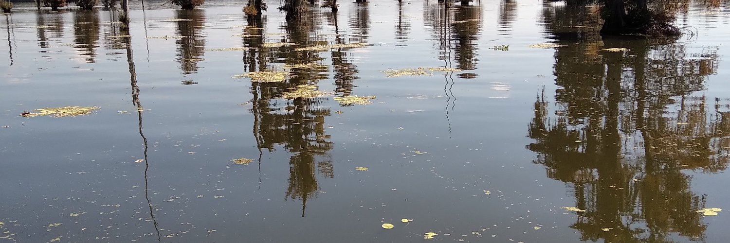 Jody Whitlock chunk/wind banner