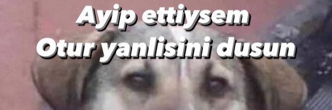 elif_bjk's profile banner image