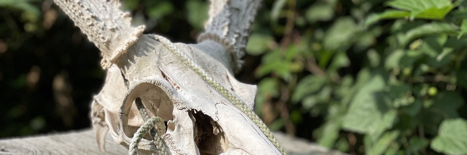 B2outside's profile banner image