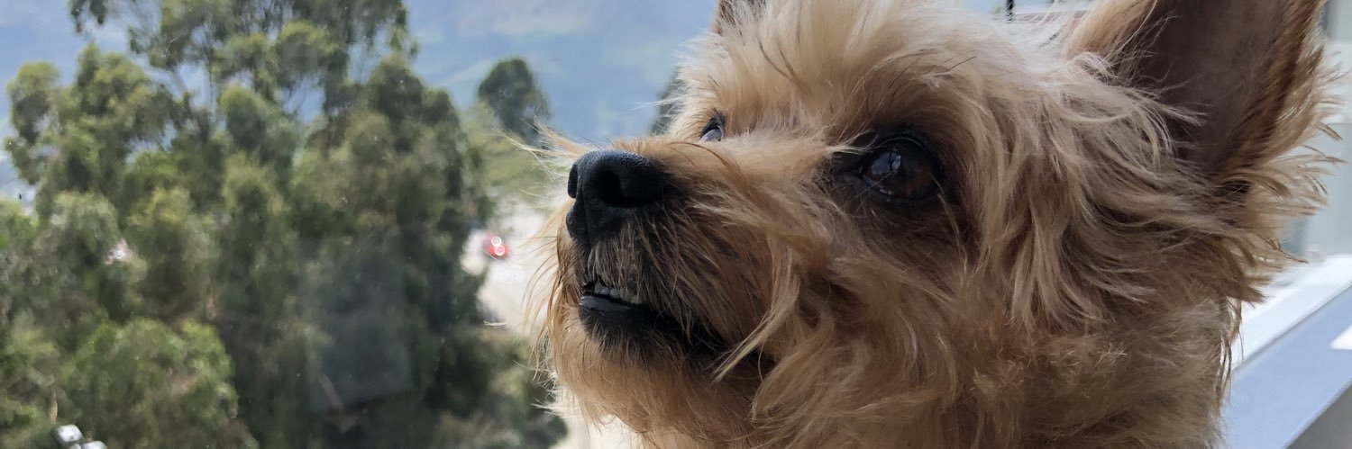 abitaruiz's profile banner image