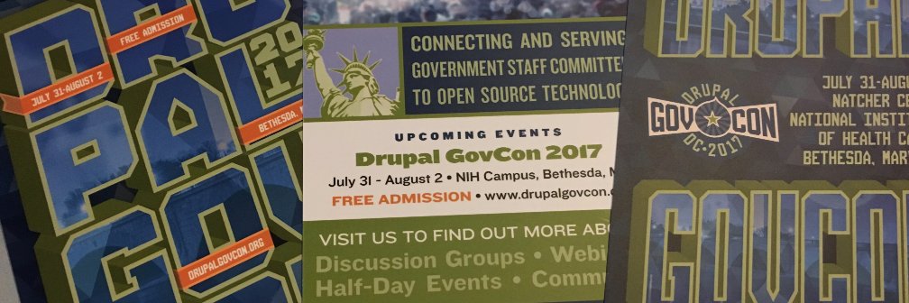 Hester Prynne banner