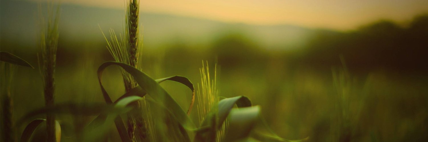 wakandagodd's profile banner image