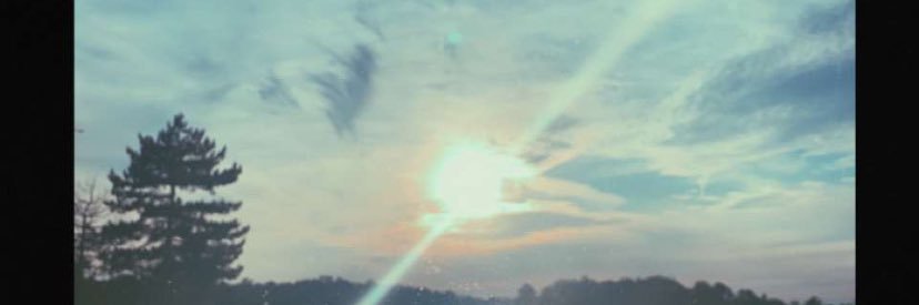 annthatrans's profile banner image