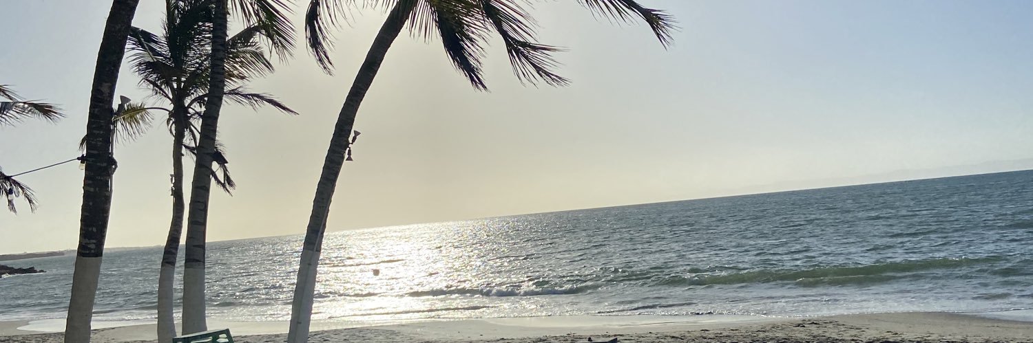 aleman_ara's profile banner image