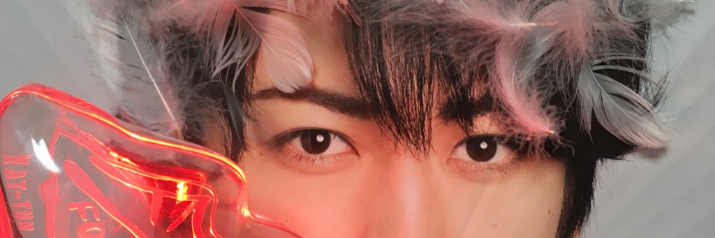 honkiponge's profile banner image