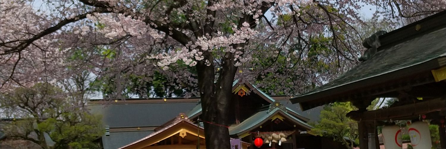 flanktaka's profile banner image