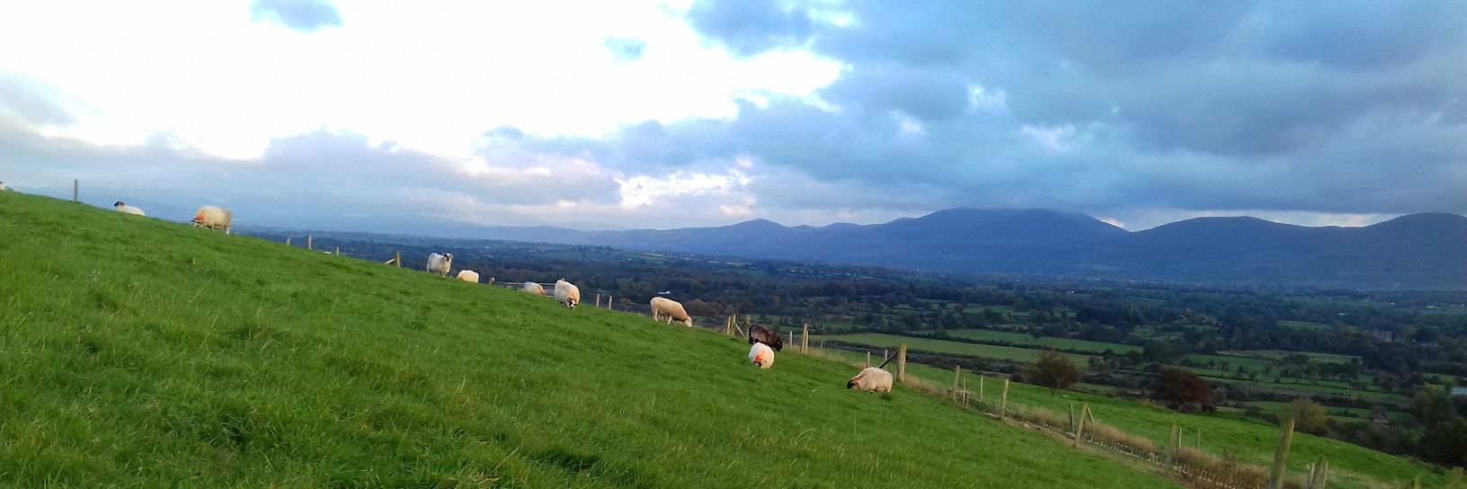 The hungry farmer. banner