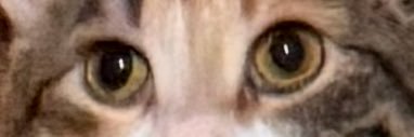 msweh's profile banner image