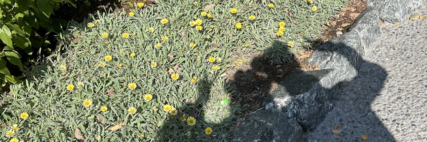 ぺちゃ🧣･* banner