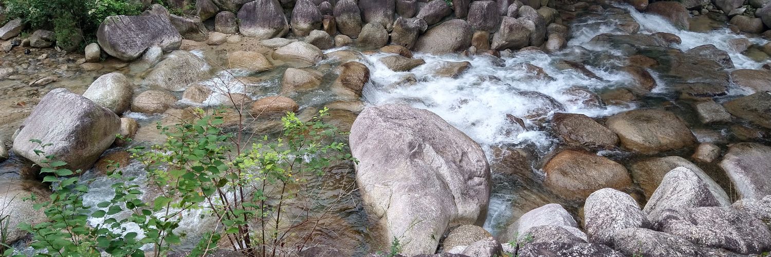 STREAM banner
