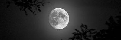 sd2106974's profile banner image
