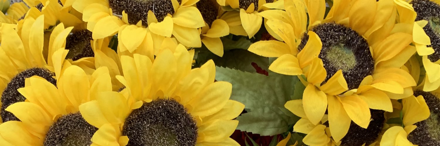 Heather Gallegos banner
