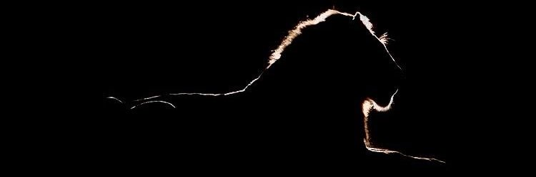 Vwiue's profile banner image