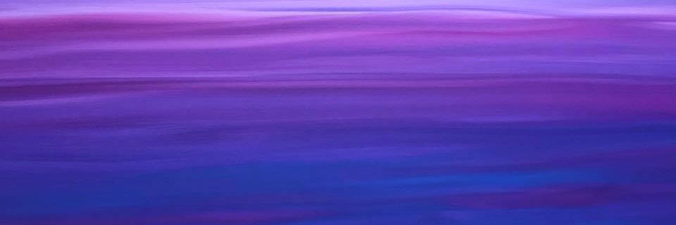 MollyKittle's profile banner image