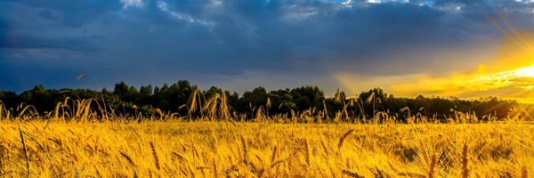 mikerogero Profile Banner