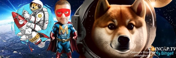 Doge-1 Mission to the Moon Profile Banner