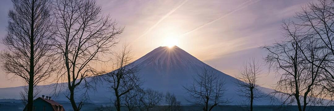 💜 ベーシストの妹 💜 banner