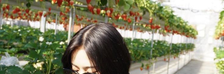 ka, open @ after dm banner