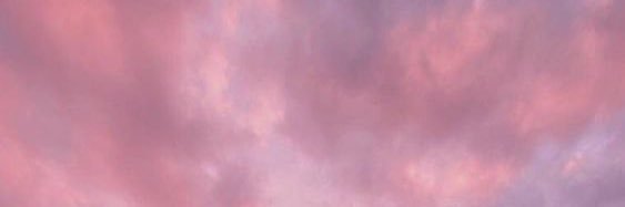 federvica's profile banner image