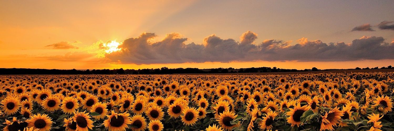 valenzumsteind's profile banner image