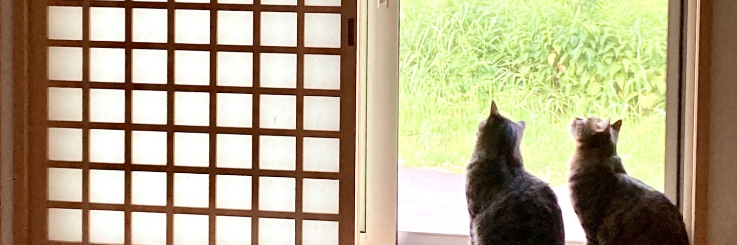 yggk2k's profile banner image