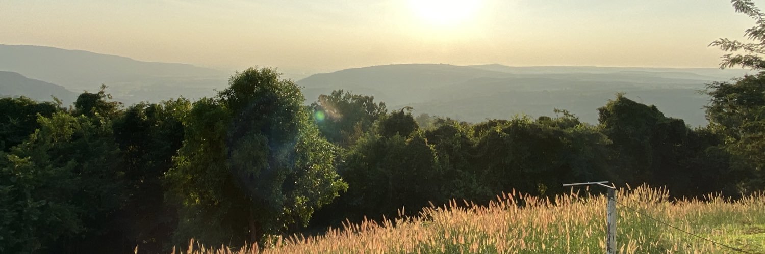 kochapark's profile banner image