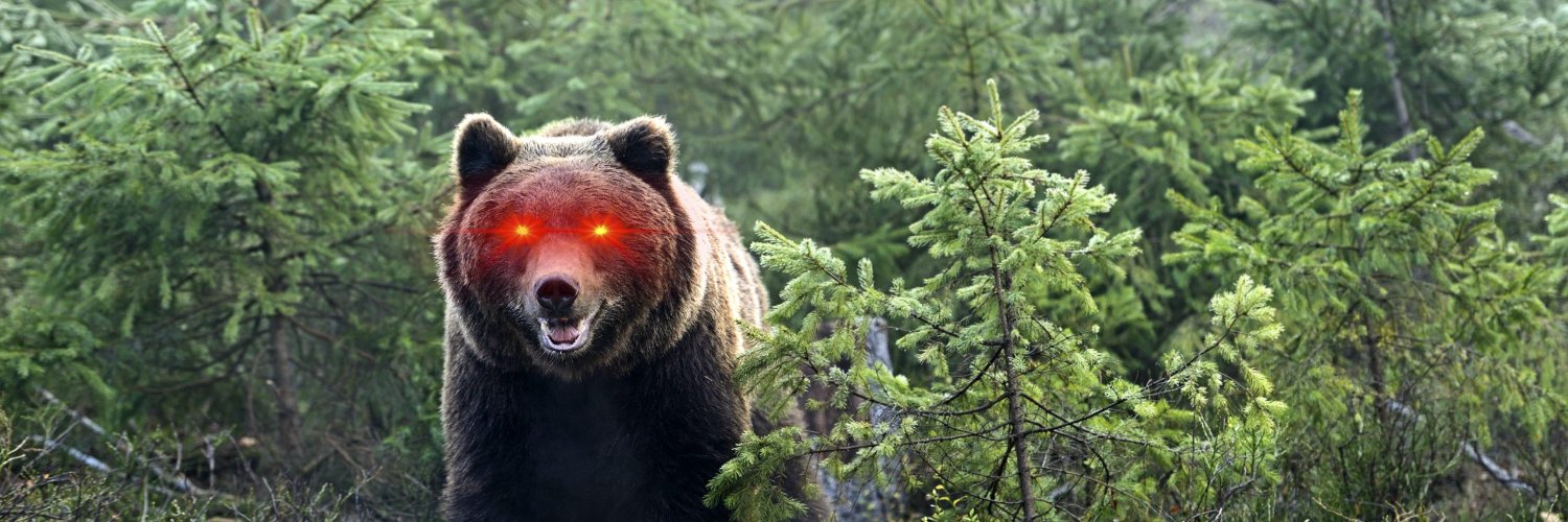 CryptoBear banner
