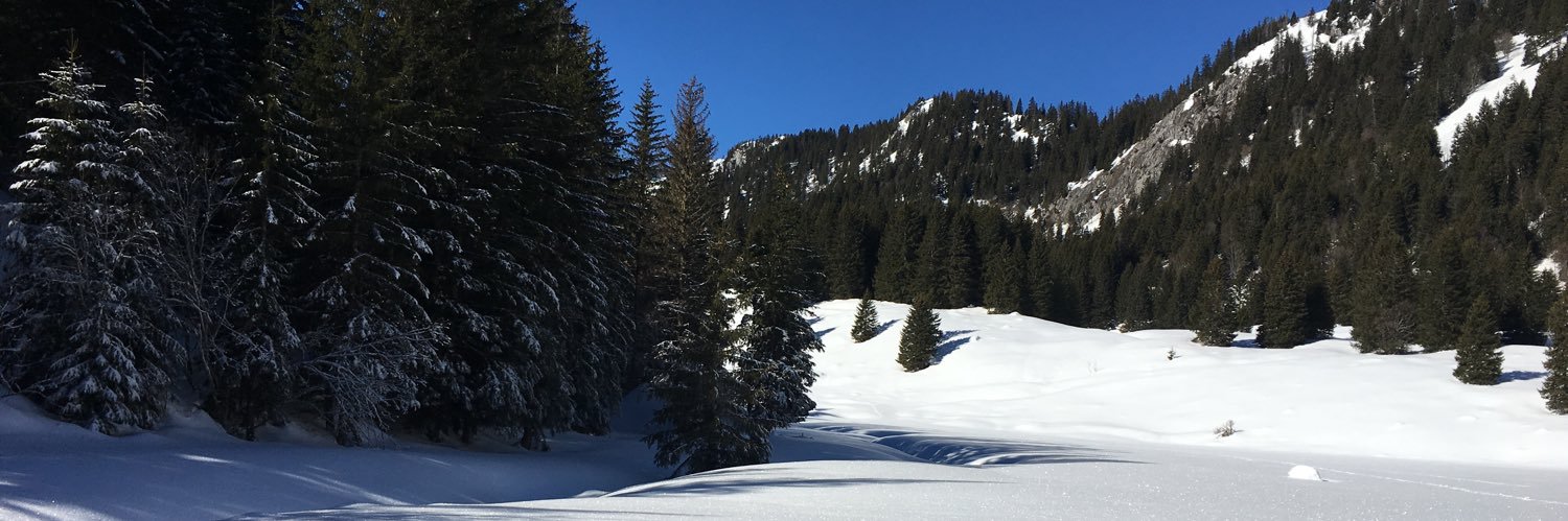 AnneSechaud's profile banner image