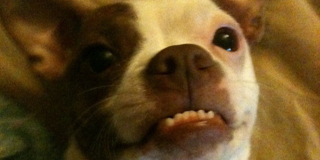 WayneThat's profile banner image