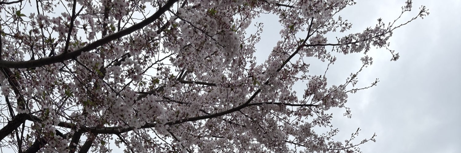 kumatan98's profile banner image