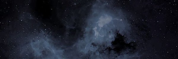 PaimonRulerHoot Profile Banner