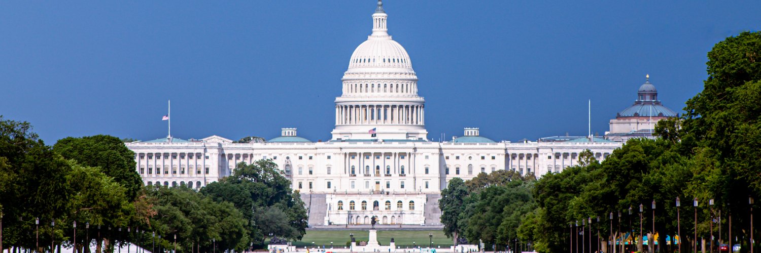 Joe Stablishment banner