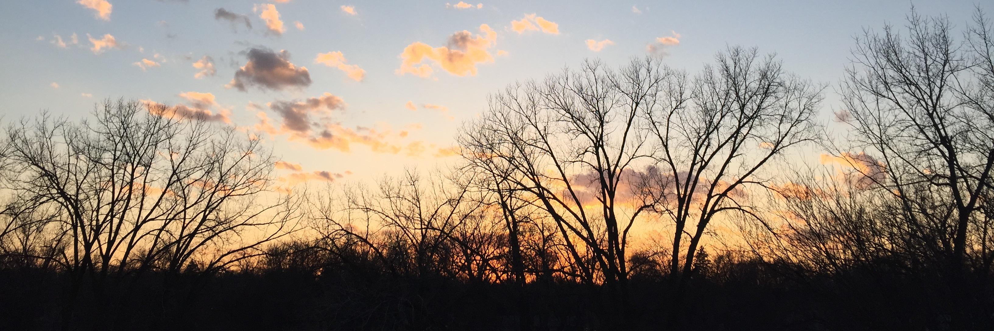 nciske's profile banner image