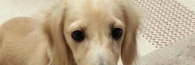 maf8888's profile banner image