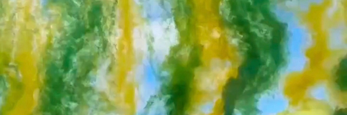PieldeTiburon's profile banner image