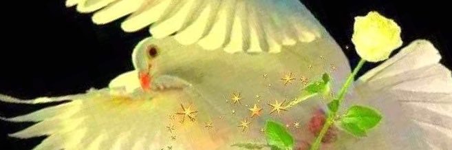 ignacio_mgr's profile banner image