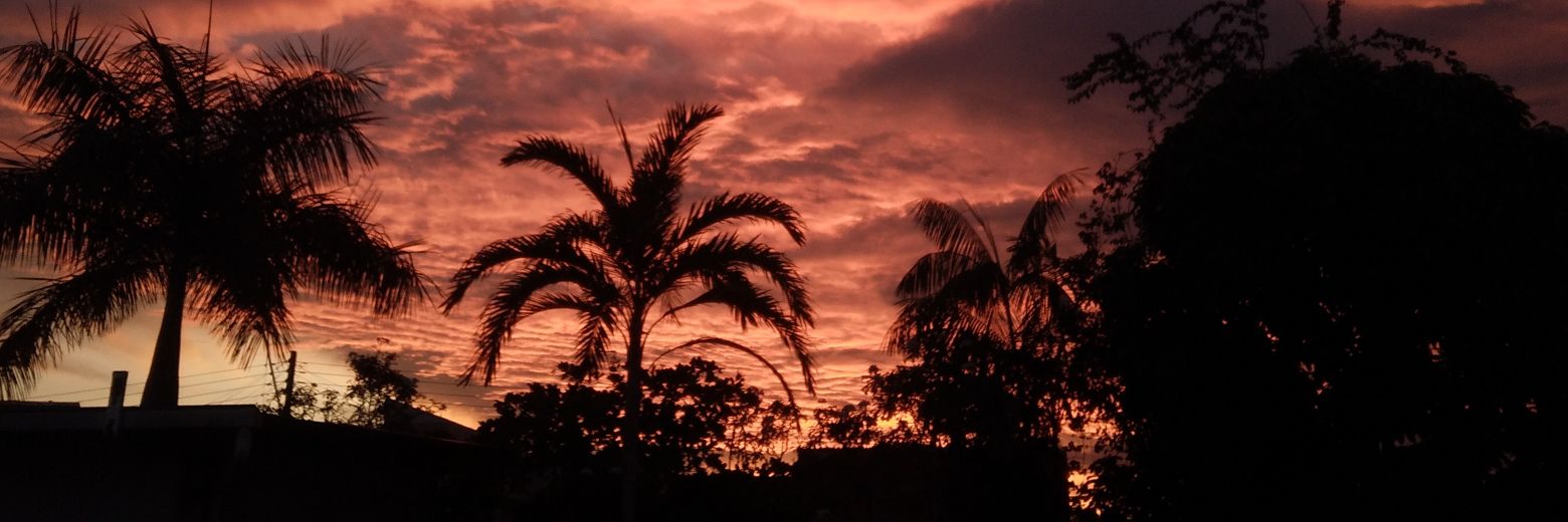 Gabdrogas's profile banner image