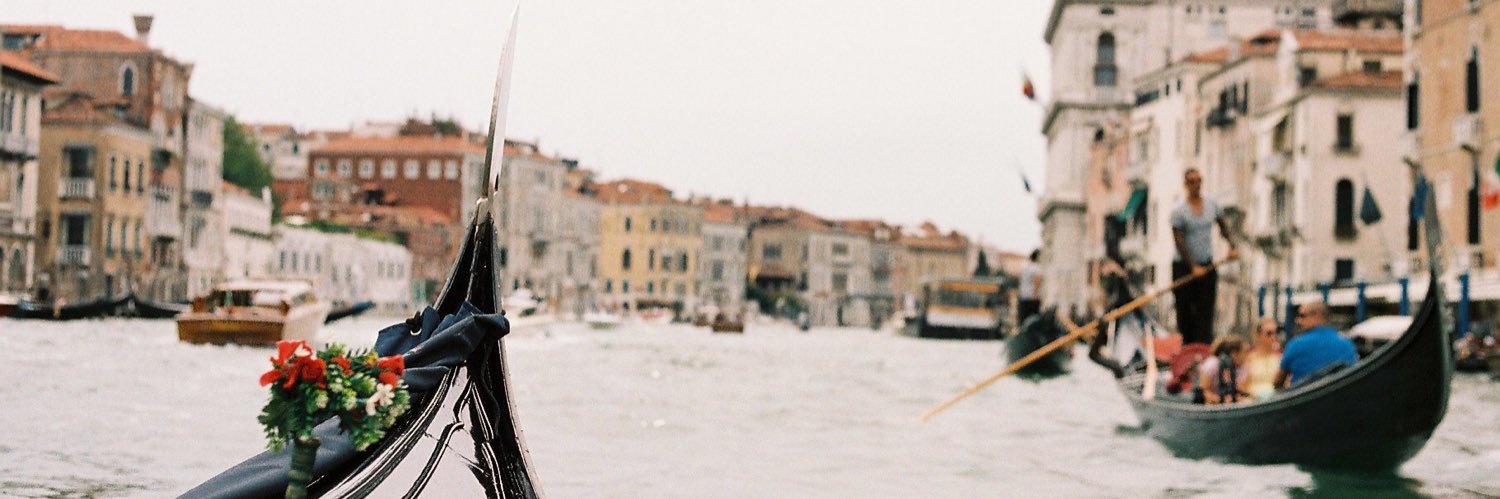 maddylewis5's profile banner image