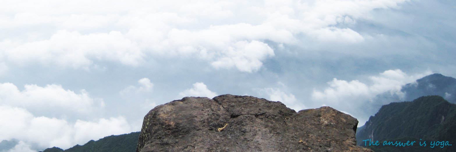 linguisticsnake's profile banner image