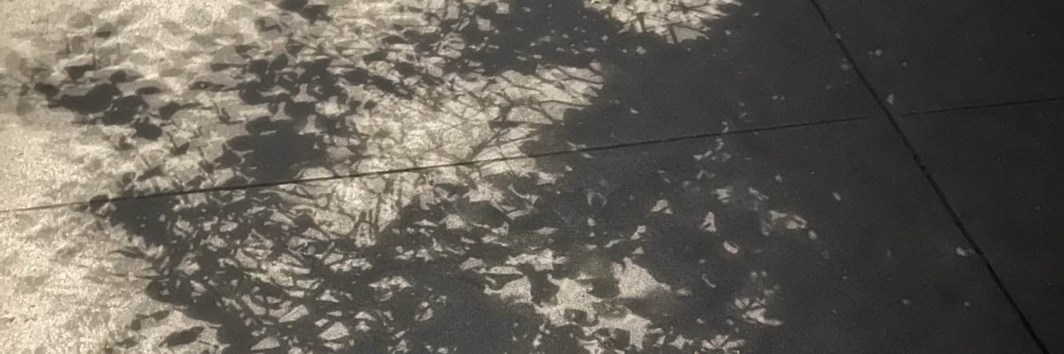 nvivz's profile banner image