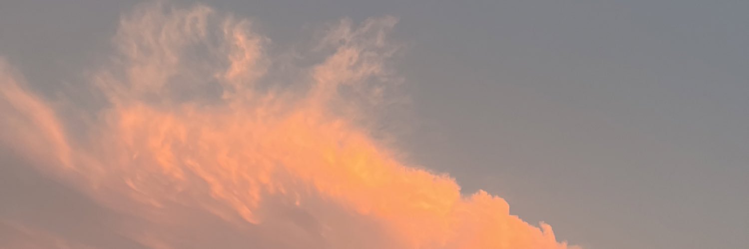 ssh_scream's profile banner image